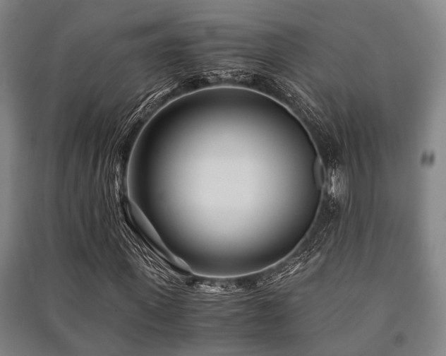 X0000091450915200708161255