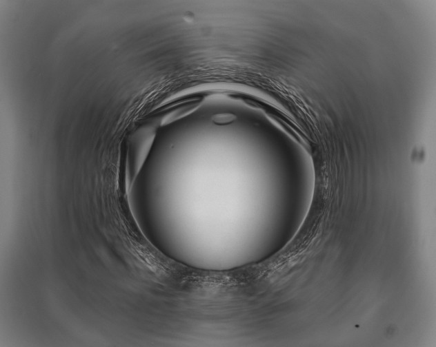 X0000091450916200708161255