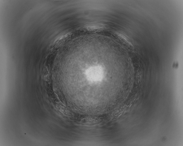 X0000091450917200708161255