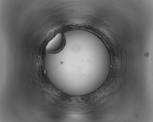 X0000091450918200708161255