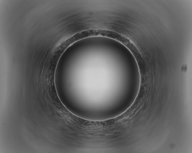 X0000091450919200708161255