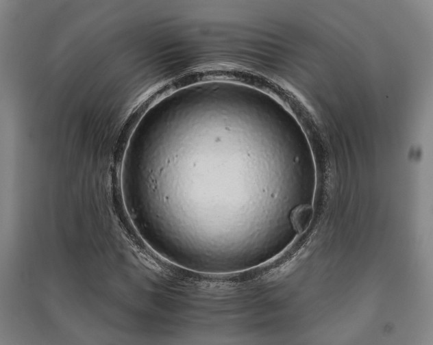 X0000091450921200708161255