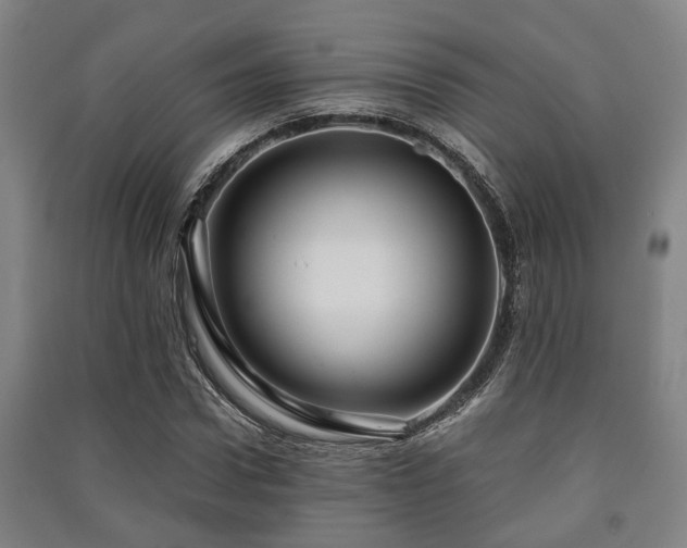 X0000091450922200708161255