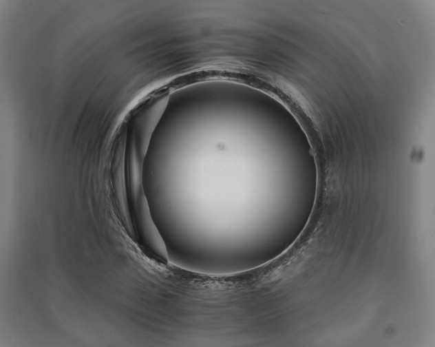 X0000091450923200708161255