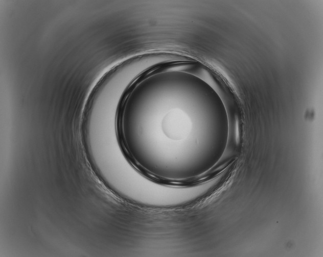 X0000091450924200708161255