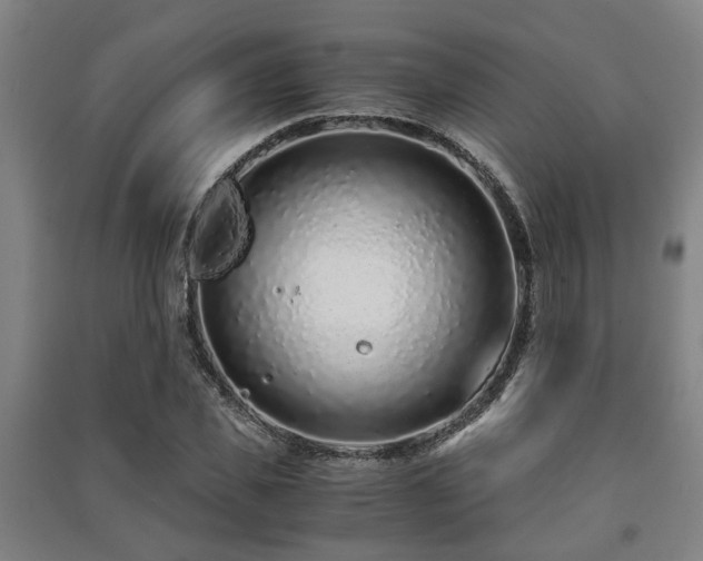 X0000091450925200708161255
