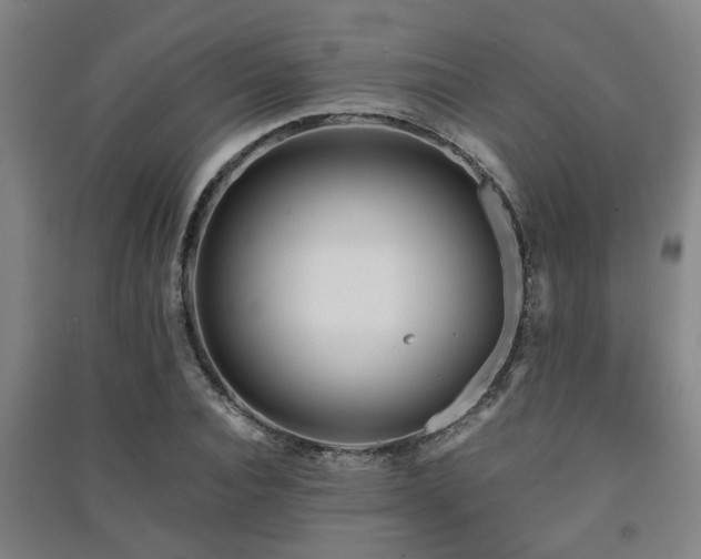 X0000091450928200708161255