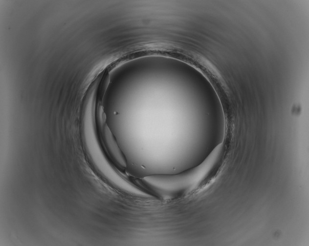X0000091450930200708161255