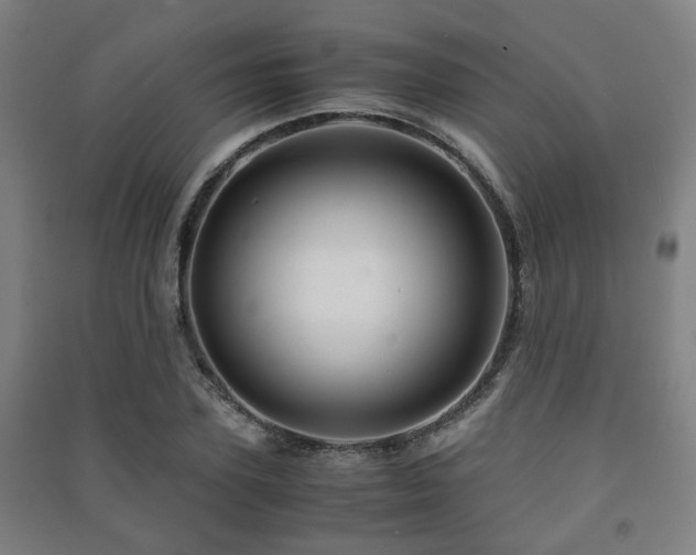 X0000091450931200708161255