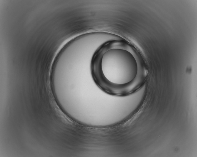 X0000091450932200708161255