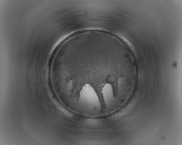 X0000091450933200708161255