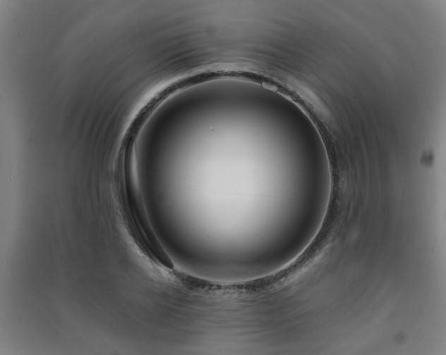 X0000091450934200708161255