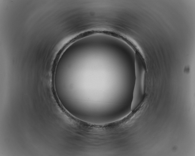 X0000091450935200708161255
