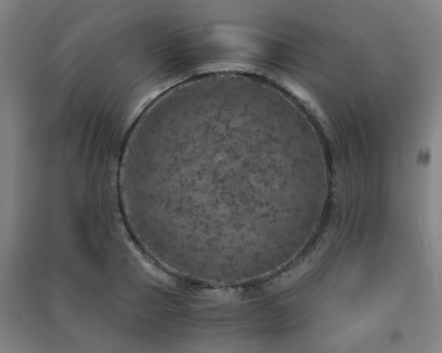 X0000091450937200708161255