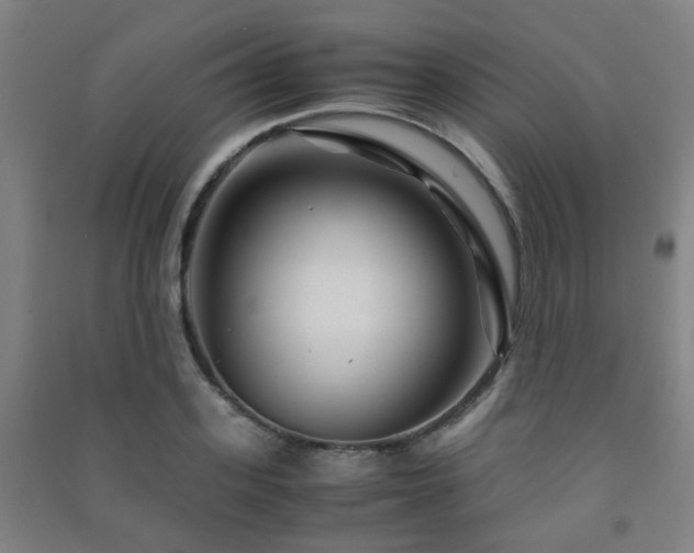 X0000091450939200708161255
