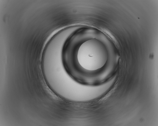 X0000091450940200708161255