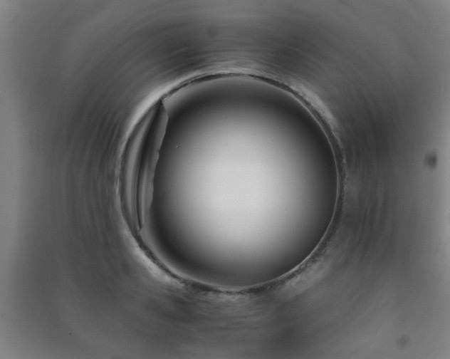 X0000091450941200708161255