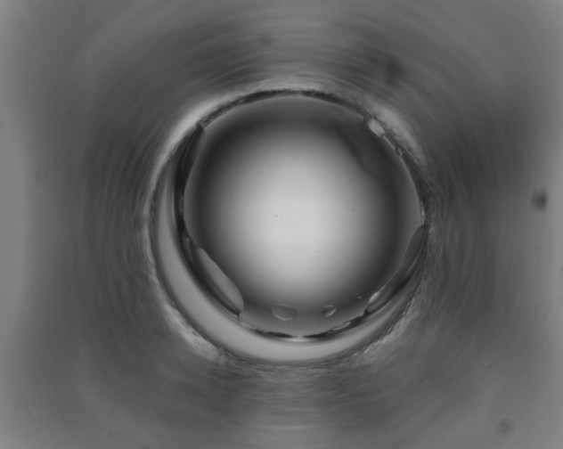 X0000091450942200708161255