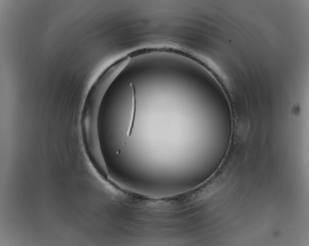 X0000091450943200708161255