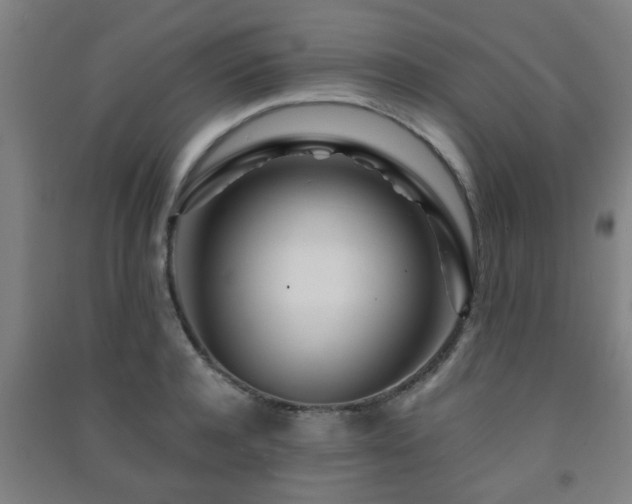 X0000091450944200708161255
