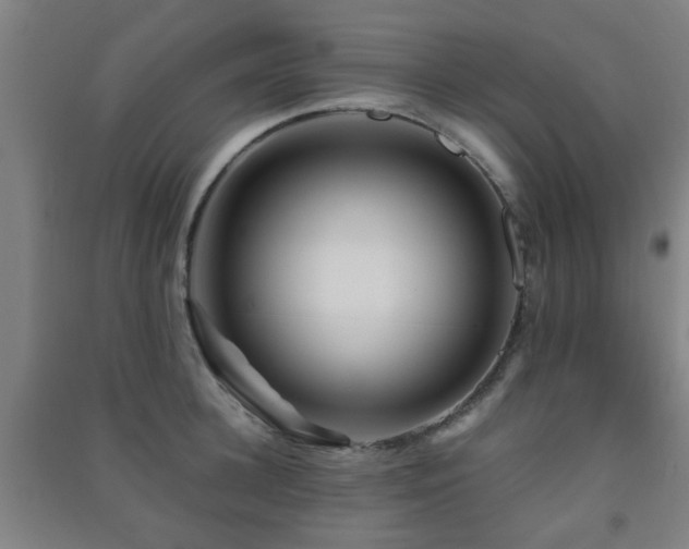 X0000091450948200708161255
