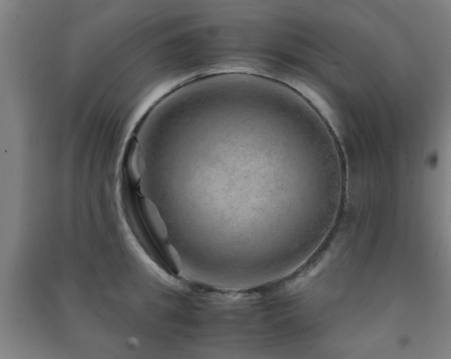 X0000091450949200708161255
