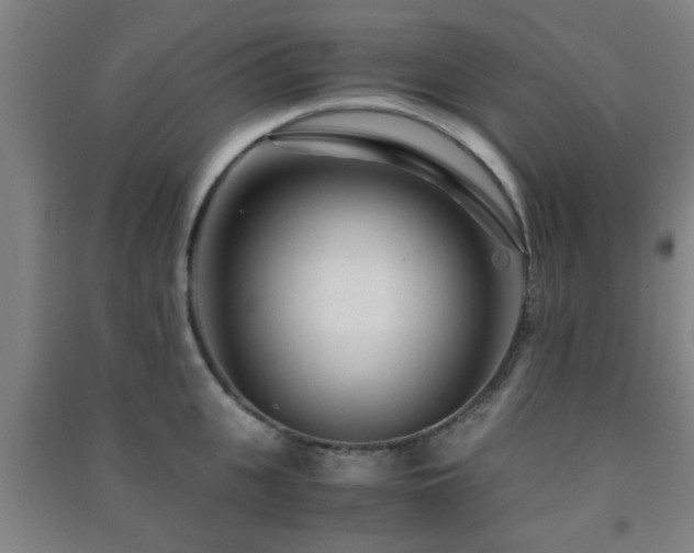 X0000091450951200708161255