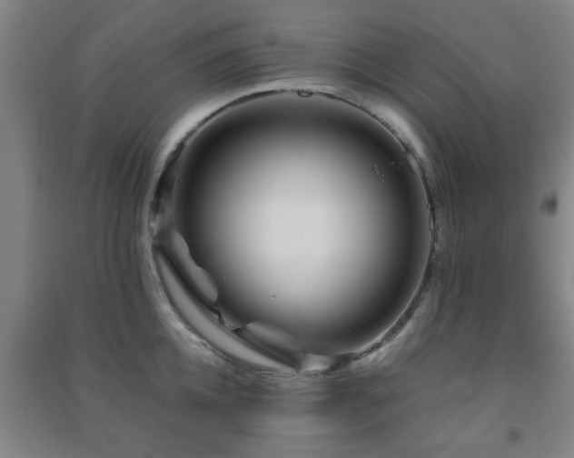 X0000091450952200708161255