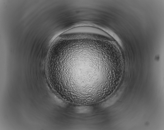 X0000091450953200708161255