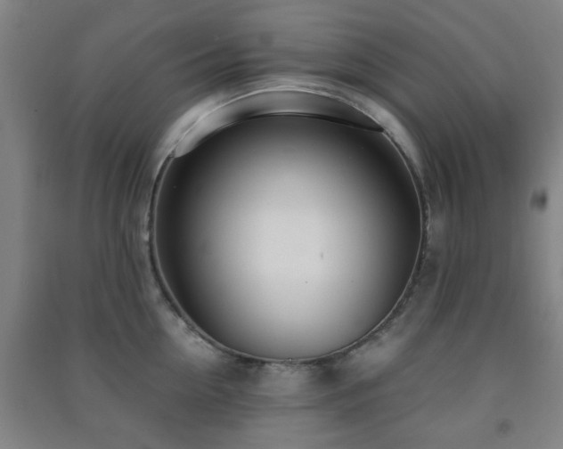 X0000091450954200708161255