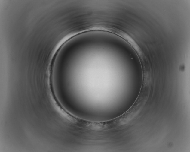X0000091450955200708161255