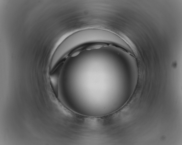 X0000091450956200708161255
