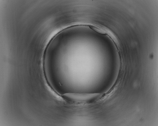 X0000091450958200708161255
