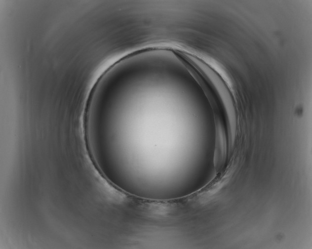 X0000091450959200708161255