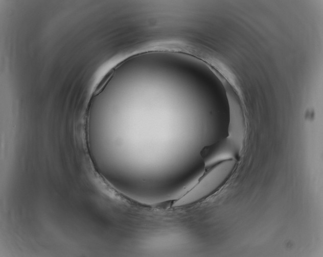 X0000091450960200708161255