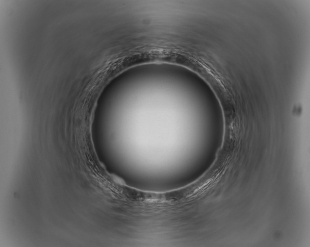 X0000091450961200708161255