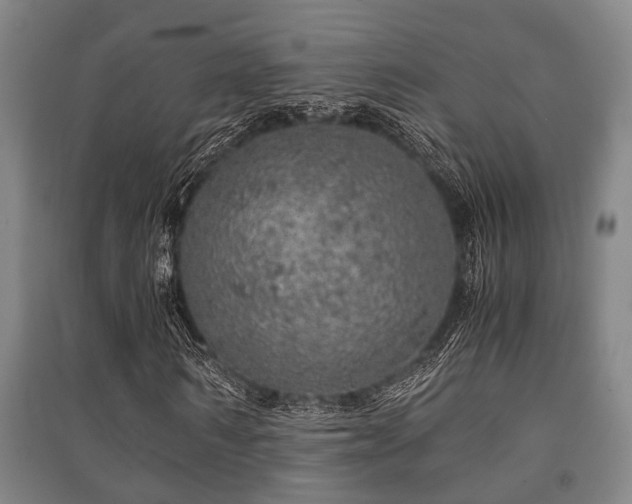 X0000091450962200708161255