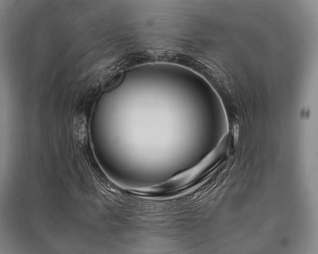 X0000091450963200708161255