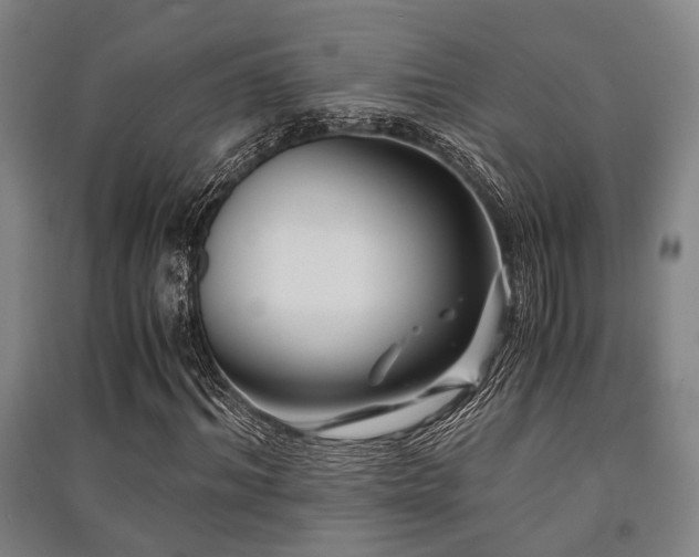 X0000091450964200708161255
