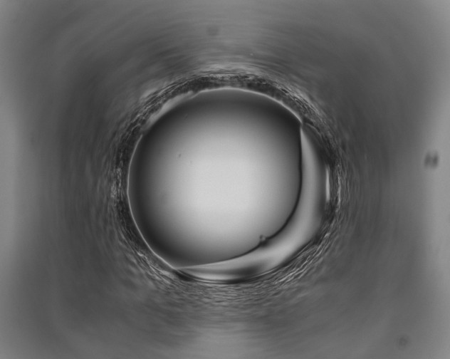 X0000091450965200708161255