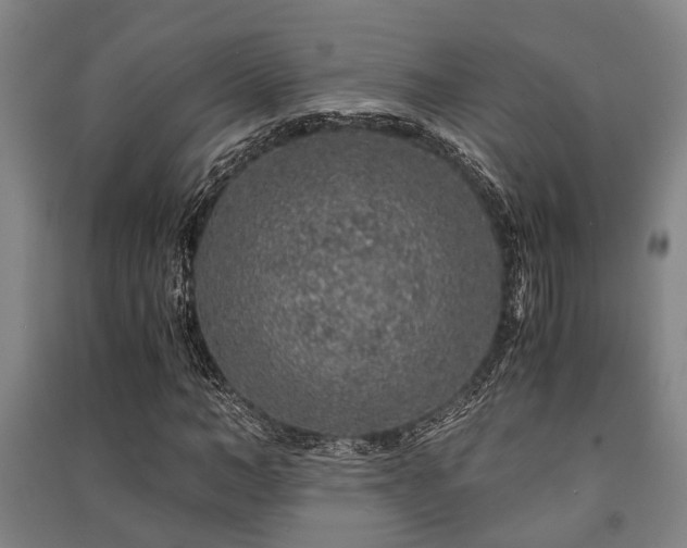 X0000091450966200708161255