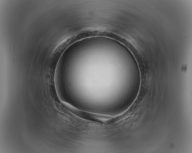 X0000091450967200708161255