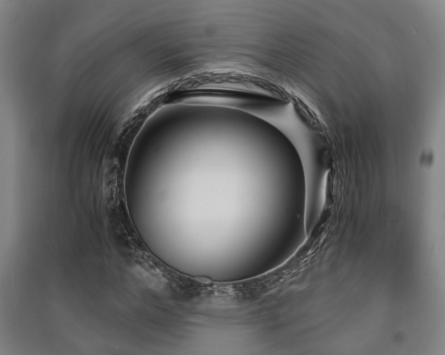 X0000091450968200708161255