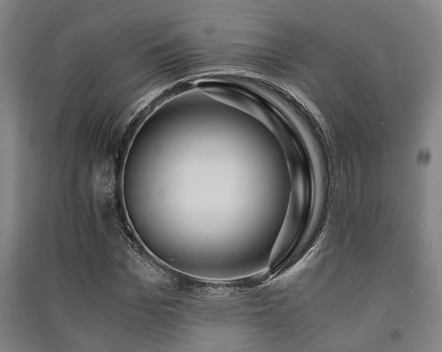 X0000091450969200708161255
