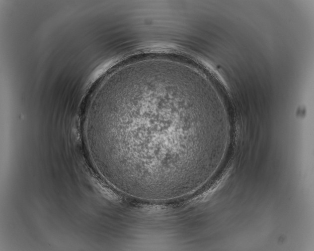 X0000091450970200708161255