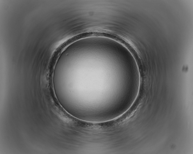 X0000091450971200708161255