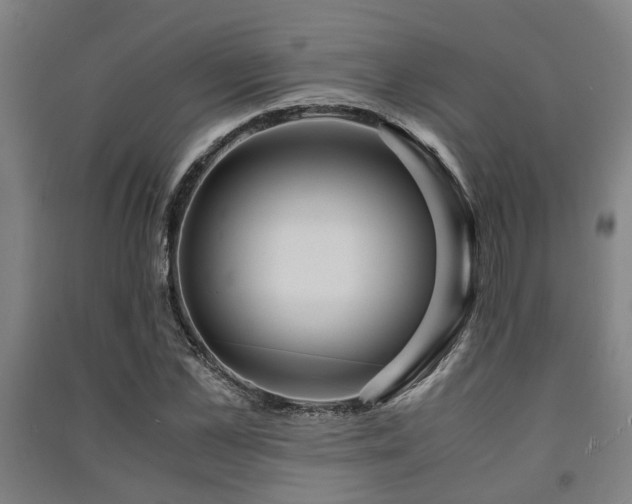 X0000091450973200708161255