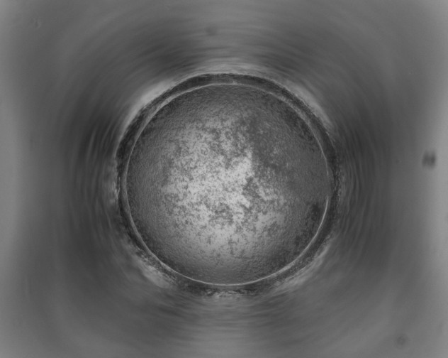 X0000091450974200708161255