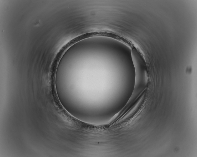 X0000091450975200708161255