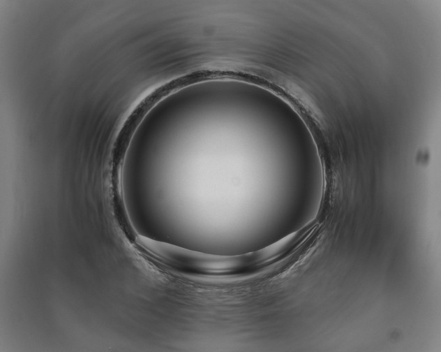 X0000091450976200708161255